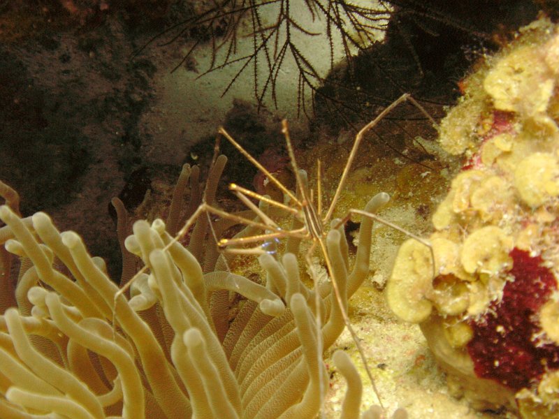 Curacao 04-12 035.JPG